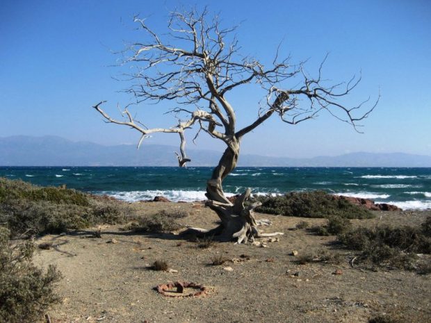 Isola di Chrissi