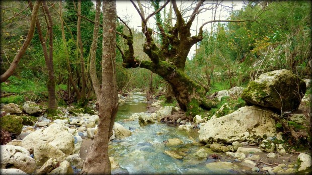 Tra Chania e Rethymno Lappa Argiroupolis creta