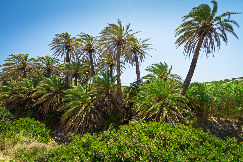 cosa vedere a creta 