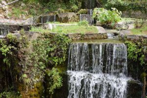 Tour del centro di Creta + Lago Kournas6